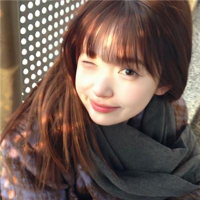 红尾鸽